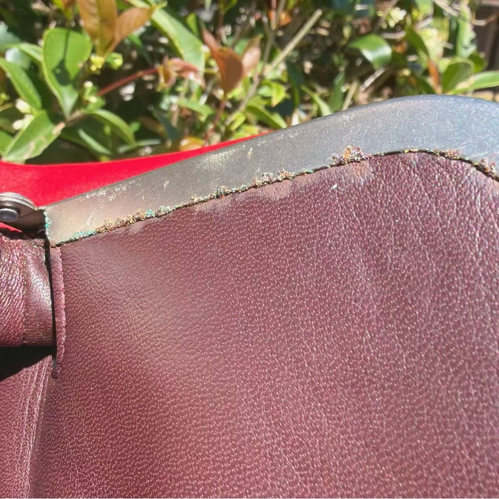 Coach Kisslock Frame Bag With Strawberry Embroidery 11326 - Picture 12 of 13